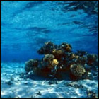 Sharm El Sheick