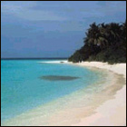 Maldive